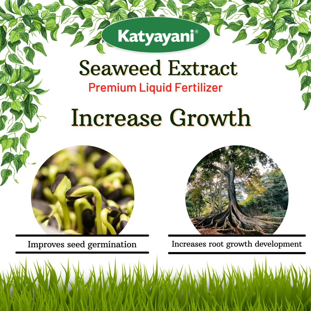 Premium Seaweed Extract Liquid Katyayani Organics