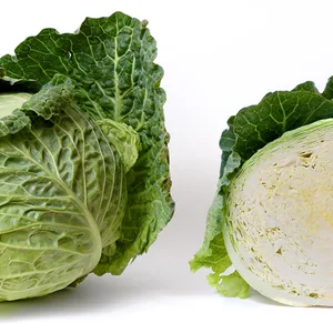 Cabbage