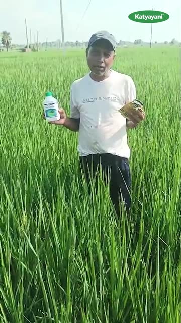 Sandeep Kumar Singh