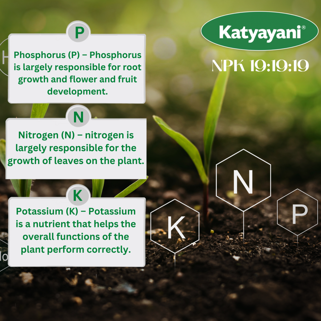 Katyayani NPK 19 19 19 100% Water Soluble Fertilizer - Katyayani Organics