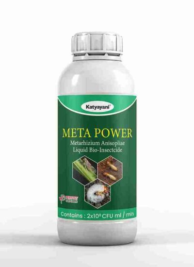 Meta Power | Metarhizium anisopliae Bio pesticide