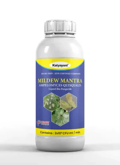 Katyayani Mildew Mantra | Ampelomyces quisqualis Bio fungicide