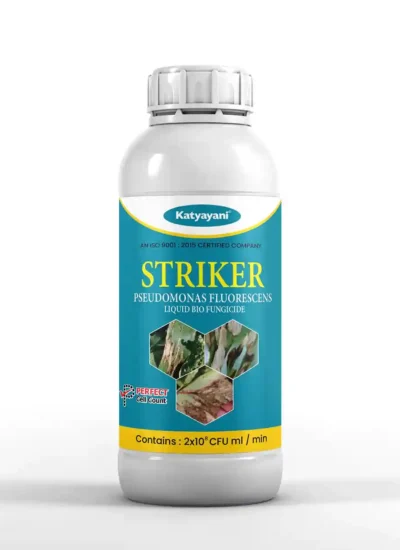 Katyayani Striker