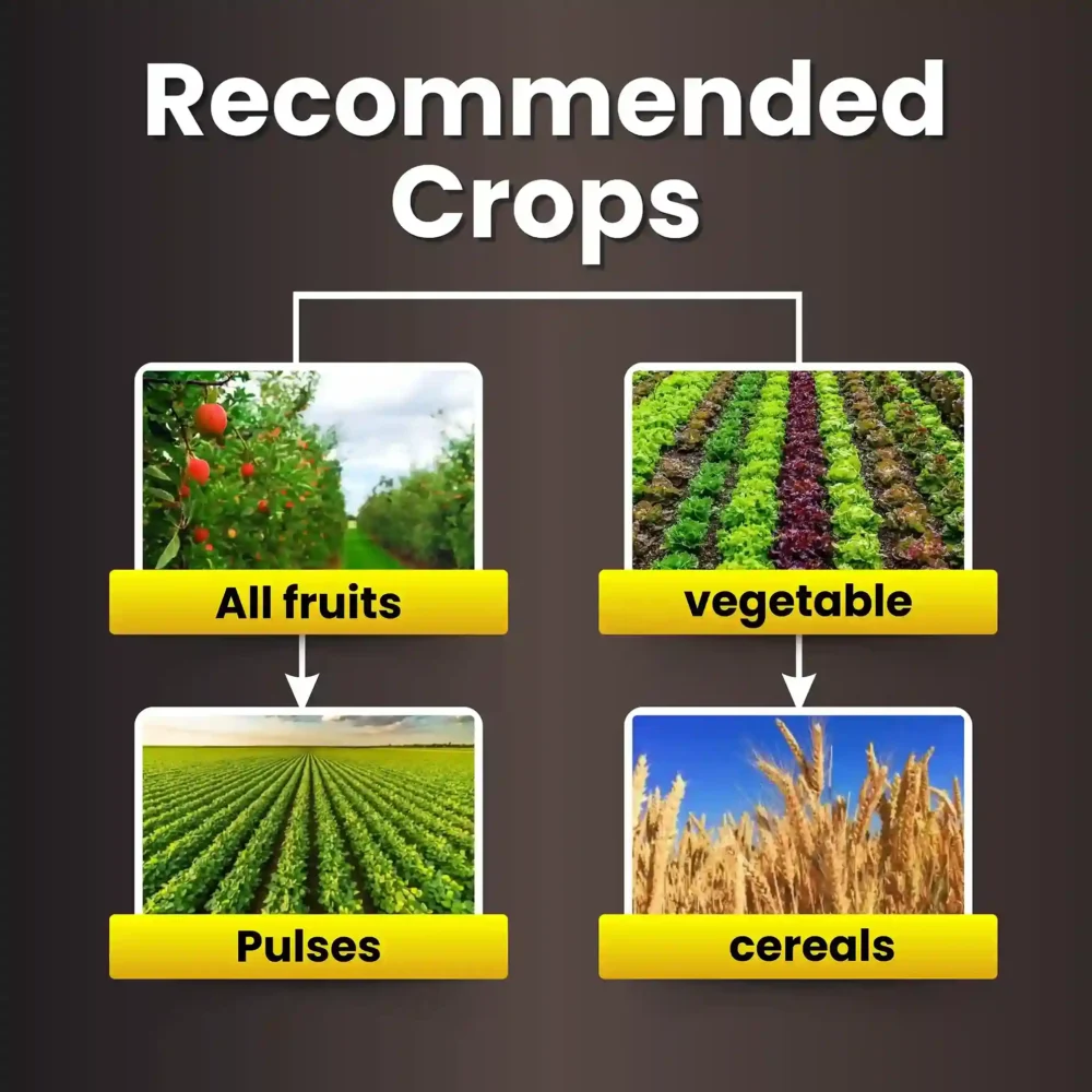 Katyayani VAM-G | Vesicular Arbuscular Mycorrhiza bio fertilizer