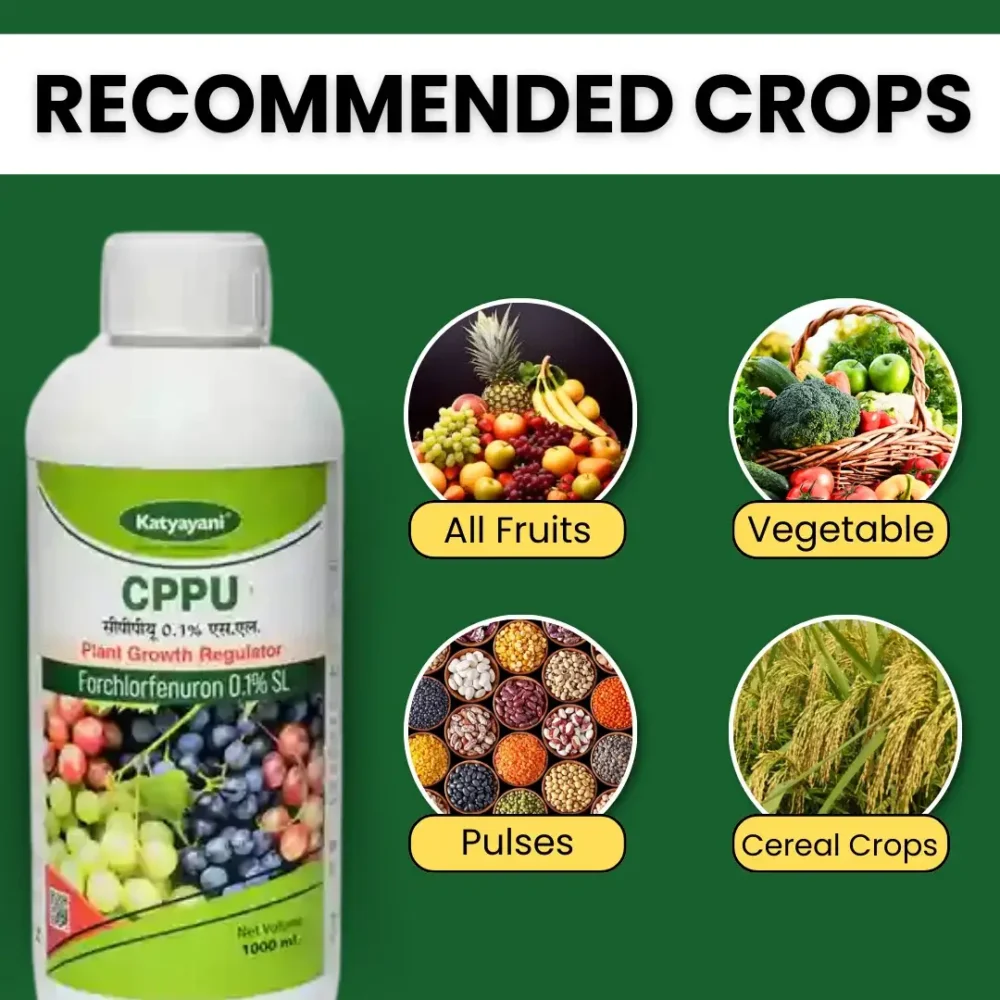 Katyayani CPPU | Forchlorfenuron 0.1 % L | Plant Growth Regulator