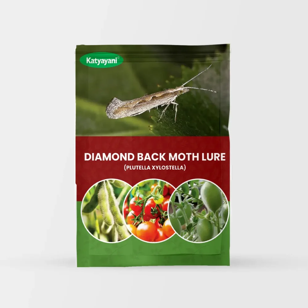 Diamond Back Moth Lure (PLUTELLA XYLOSTELLA)