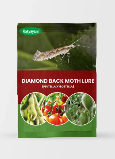 Diamond Back Moth Lure (PLUTELLA XYLOSTELLA)
