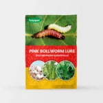 Pink Bollworm Lure (PECTINOPHORA GOSSYPIELLA)