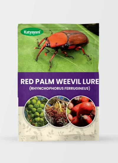 Red Palm Weevil Lure (RHYNCHOPHORUS FERRUGINEUS)