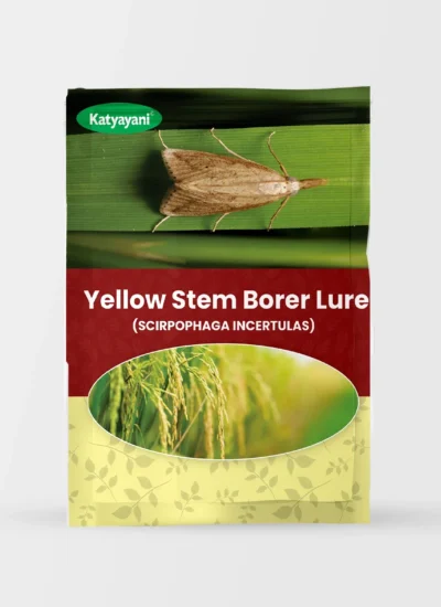 Yellow Stem Borer Lure (SCIRPOPHAGA INCERTULAS)