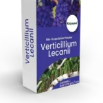 Katyayani Verticillium Lecanii Bio Insecticide Powder