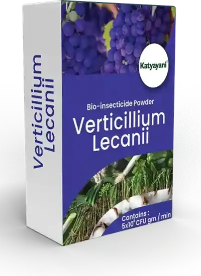 Katyayani Verticillium Lecanii Bio Insecticide Powder