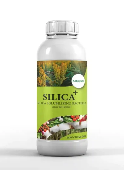 KATYAYANI SILICA + | SILICA SOLUBILIZING BACTERIA