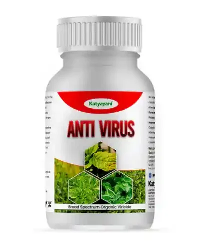 KATYAYANI ANTIVIRUS