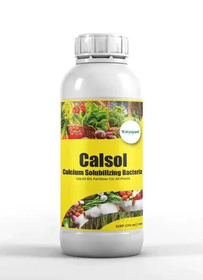 Katyayani Calsol (Calcium Solubilizing bacteria)